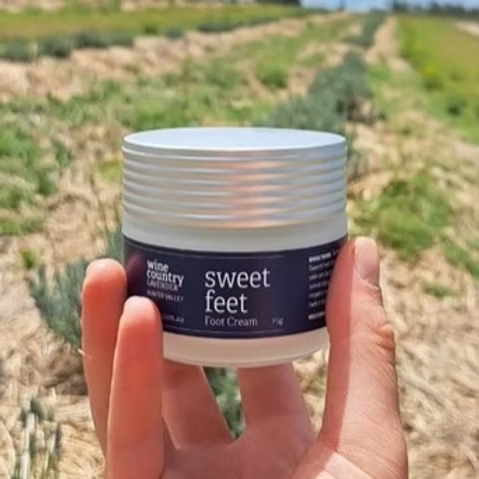 A hand holding a white plastic jar of wine country farm fresh foot cream with a dark navy label that reads 'sweet feet Foot Cream'. The background is a blurred outdoor vineyard field.