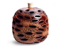 Banksia Pod Diffuser - Rosie & Joes