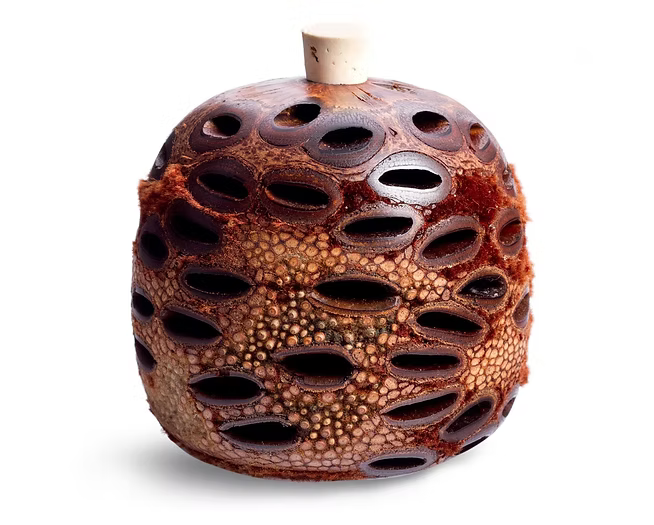 Banksia Pod Diffuser - Rosie & Joes